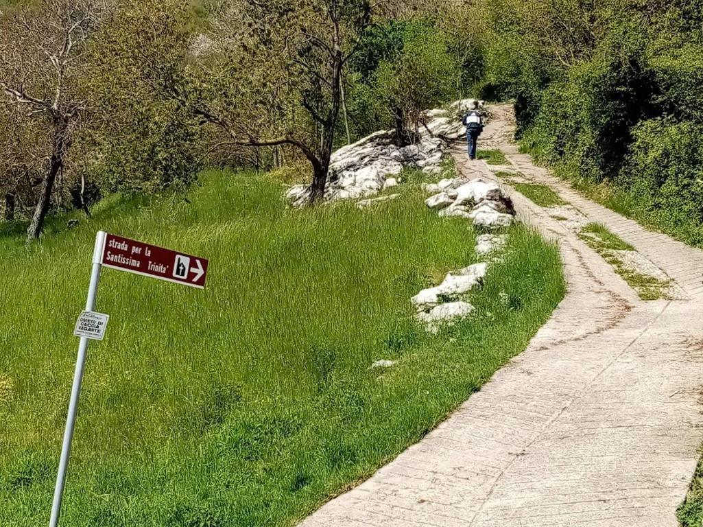 Hiking Escape Parzanica Villa Bagian luar foto